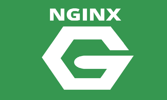 nginx server