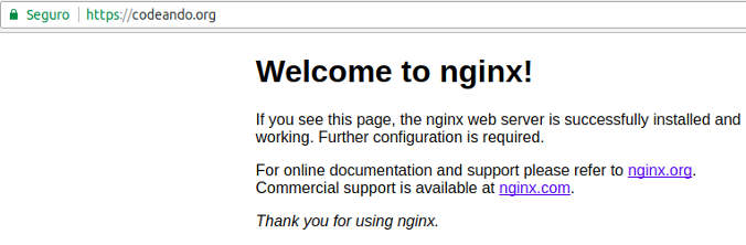 Pagina de inicio de nginx